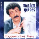 album image Öpmek İstedim Meyhaneci (Kırık Sazım)