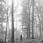 album image hoax folklore: the sleepless nights chapter