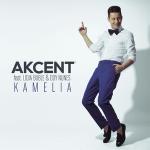 poster Kamelia (DJ Ackym Mombahton Remix Edit) Kamelia (Remixes)