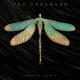 The Green Children - Dreamers (Embody Remix) |